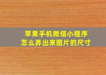 苹果手机微信小程序怎么弄出来图片的尺寸