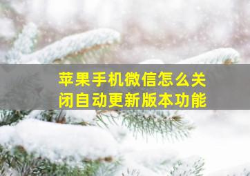 苹果手机微信怎么关闭自动更新版本功能