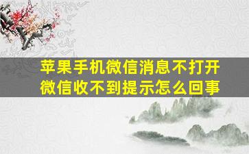 苹果手机微信消息不打开微信收不到提示怎么回事