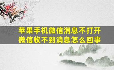 苹果手机微信消息不打开微信收不到消息怎么回事