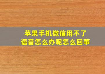 苹果手机微信用不了语音怎么办呢怎么回事