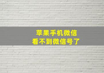 苹果手机微信看不到微信号了