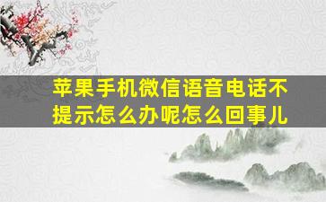 苹果手机微信语音电话不提示怎么办呢怎么回事儿