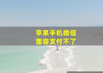 苹果手机微信面容支付不了