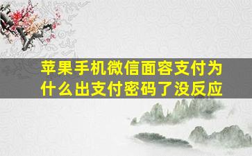 苹果手机微信面容支付为什么出支付密码了没反应