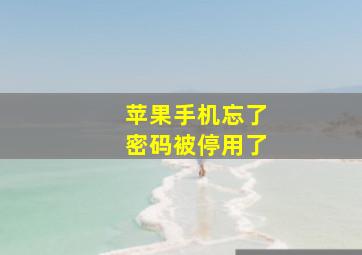 苹果手机忘了密码被停用了