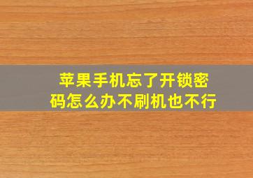 苹果手机忘了开锁密码怎么办不刷机也不行