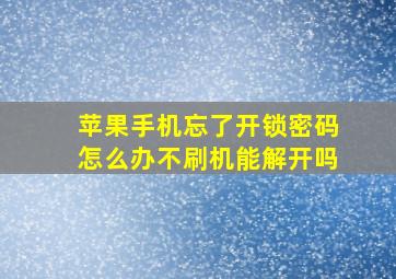 苹果手机忘了开锁密码怎么办不刷机能解开吗