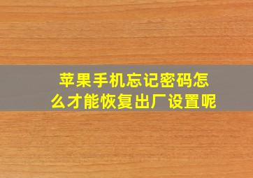 苹果手机忘记密码怎么才能恢复出厂设置呢