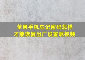 苹果手机忘记密码怎样才能恢复出厂设置呢视频