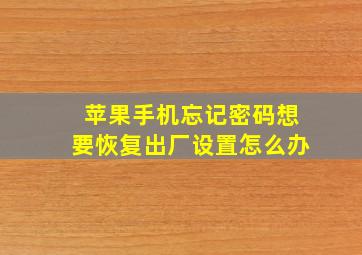 苹果手机忘记密码想要恢复出厂设置怎么办