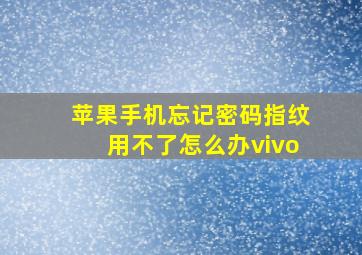 苹果手机忘记密码指纹用不了怎么办vivo