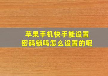 苹果手机快手能设置密码锁吗怎么设置的呢