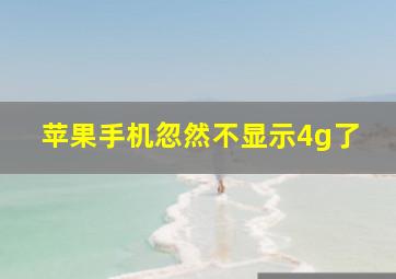 苹果手机忽然不显示4g了