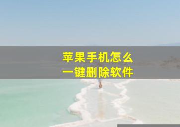 苹果手机怎么一键删除软件