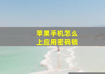 苹果手机怎么上应用密码锁