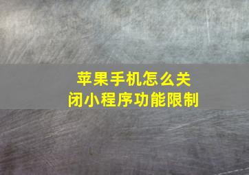 苹果手机怎么关闭小程序功能限制