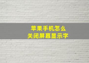 苹果手机怎么关闭屏幕显示字