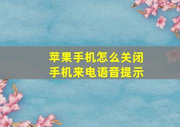 苹果手机怎么关闭手机来电语音提示