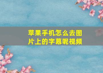 苹果手机怎么去图片上的字幕呢视频