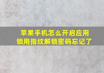 苹果手机怎么开启应用锁用指纹解锁密码忘记了