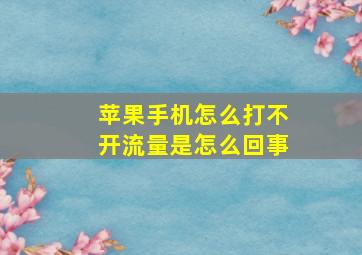 苹果手机怎么打不开流量是怎么回事