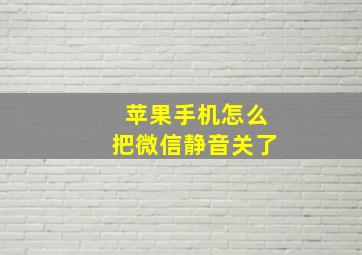 苹果手机怎么把微信静音关了