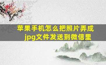 苹果手机怎么把照片弄成jpg文件发送到微信里