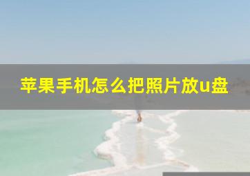 苹果手机怎么把照片放u盘