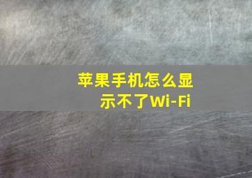 苹果手机怎么显示不了Wi-Fi