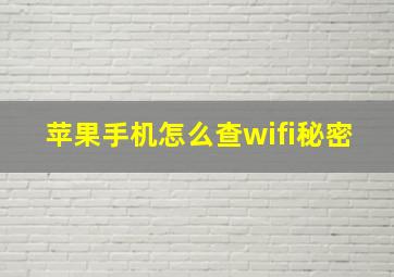 苹果手机怎么查wifi秘密