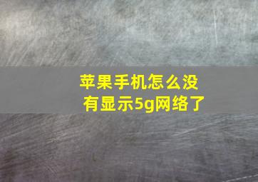 苹果手机怎么没有显示5g网络了