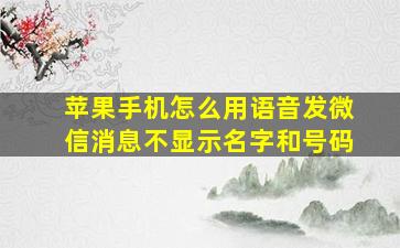 苹果手机怎么用语音发微信消息不显示名字和号码