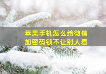 苹果手机怎么给微信加密码锁不让别人看