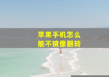 苹果手机怎么能不镜像翻转