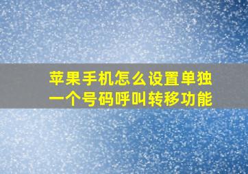 苹果手机怎么设置单独一个号码呼叫转移功能