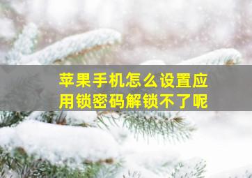 苹果手机怎么设置应用锁密码解锁不了呢