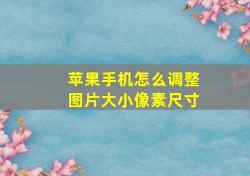 苹果手机怎么调整图片大小像素尺寸