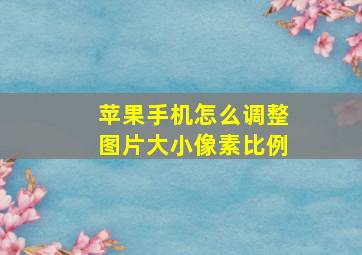 苹果手机怎么调整图片大小像素比例