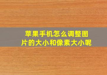 苹果手机怎么调整图片的大小和像素大小呢