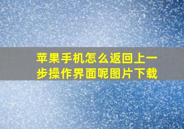 苹果手机怎么返回上一步操作界面呢图片下载