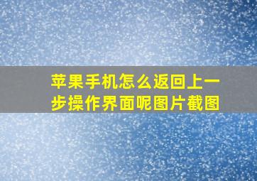 苹果手机怎么返回上一步操作界面呢图片截图