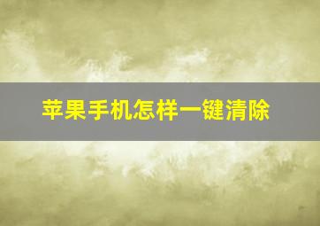 苹果手机怎样一键清除