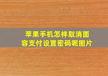 苹果手机怎样取消面容支付设置密码呢图片