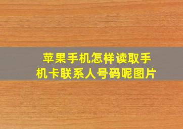 苹果手机怎样读取手机卡联系人号码呢图片