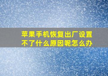 苹果手机恢复出厂设置不了什么原因呢怎么办