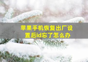 苹果手机恢复出厂设置后id忘了怎么办