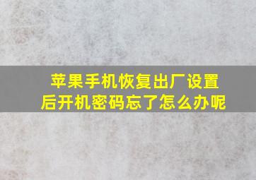 苹果手机恢复出厂设置后开机密码忘了怎么办呢