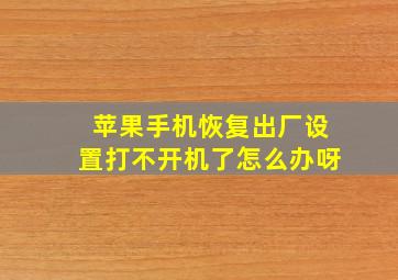 苹果手机恢复出厂设置打不开机了怎么办呀