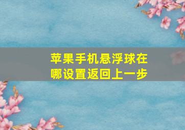 苹果手机悬浮球在哪设置返回上一步